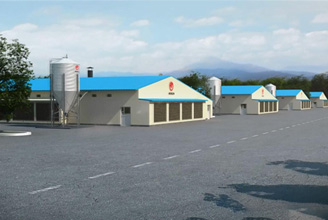 蛋鸡笼养动画演示