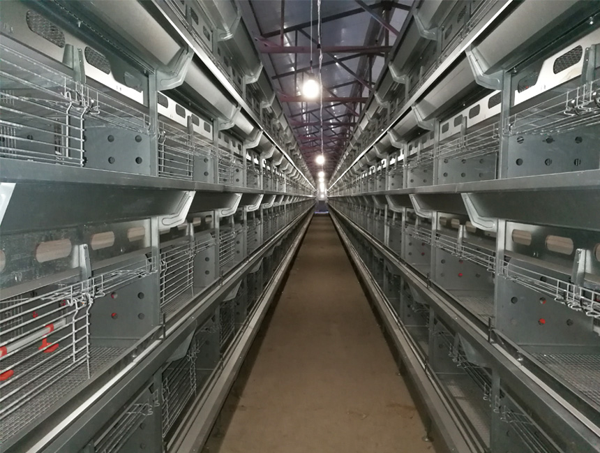 育雏育成(chéng)设备