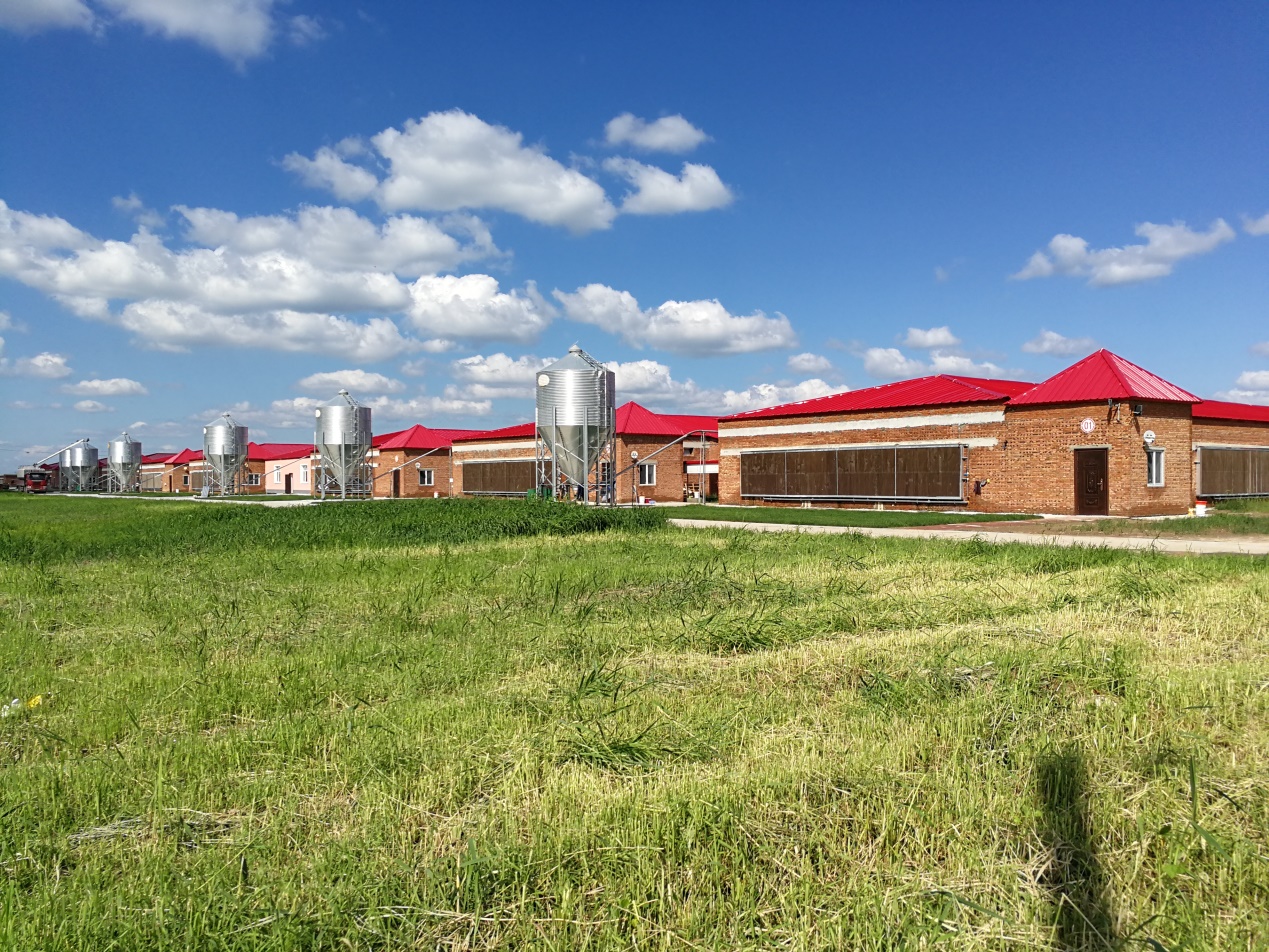黑龙江项目展示